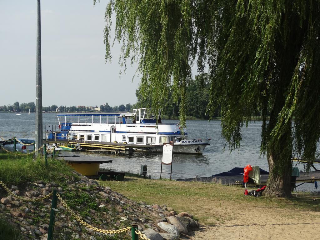 Hotel Wityng Ślesin 외부 사진